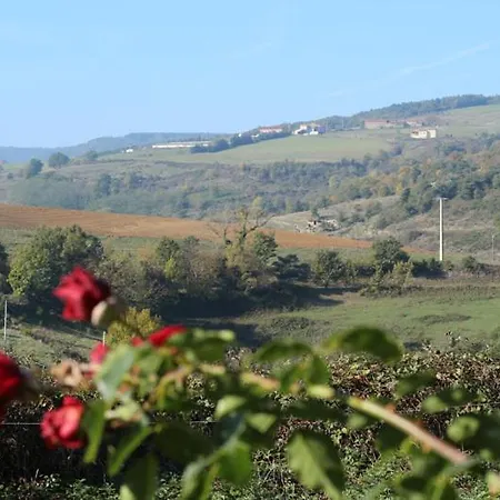 Les Gites De Coursodon Saint-Barthelemy-le-Plain